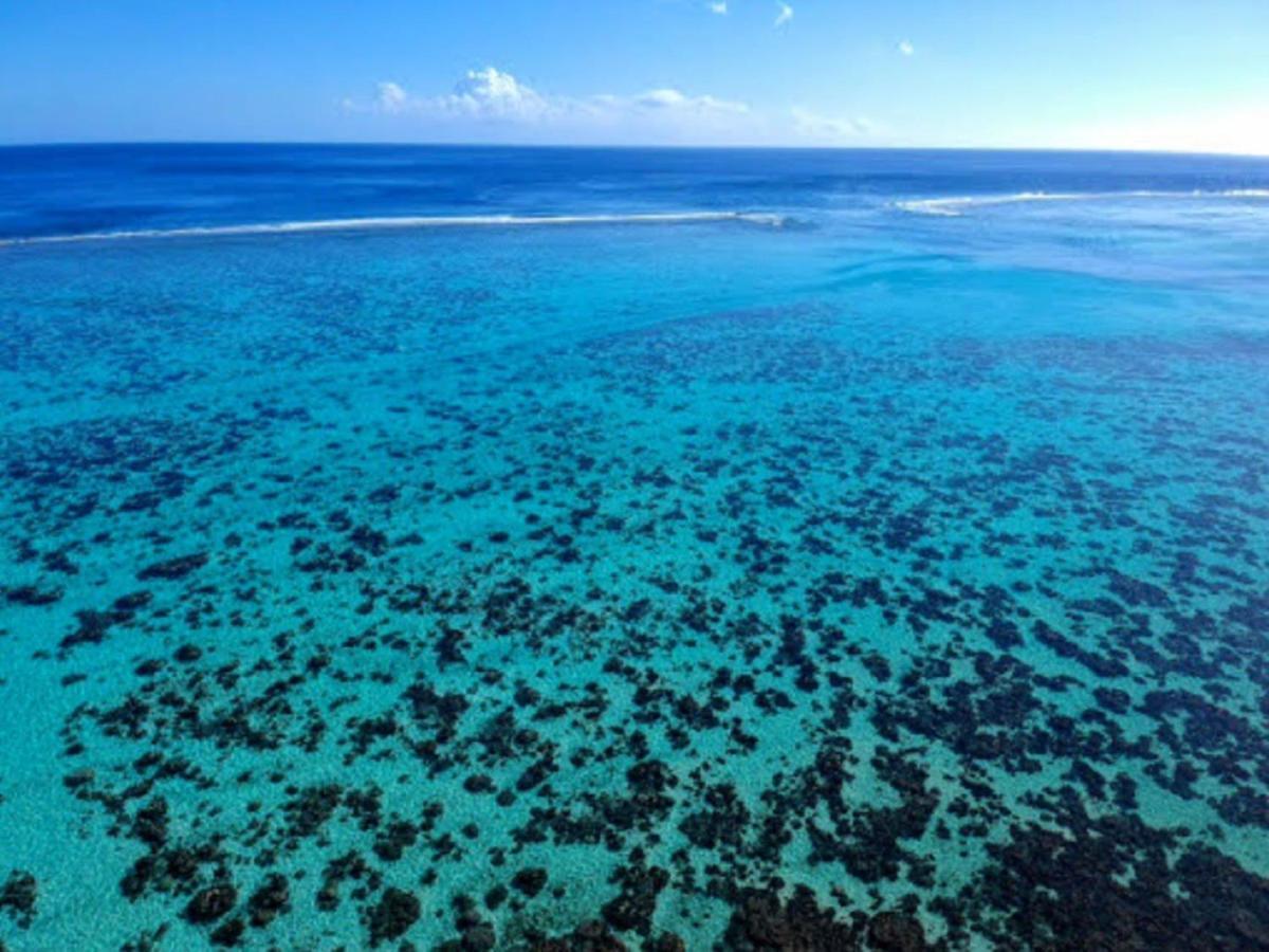 Moorea - Fare Taina Nui Хаапити Экстерьер фото